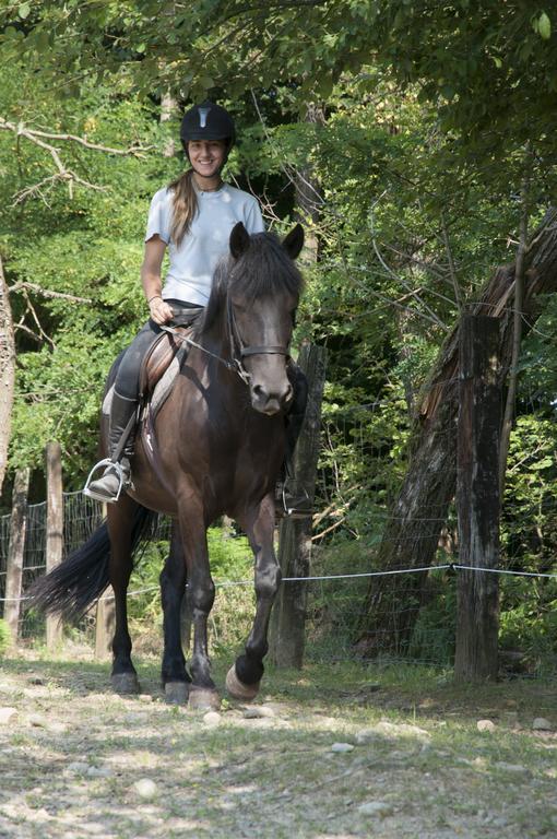 Agriturismo Jesson Rosamund Cantù Eksteriør billede